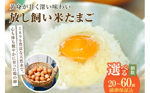 
                  放し飼い米たまご　単品　20個から60個　選べる個数【JGAP認証】
                