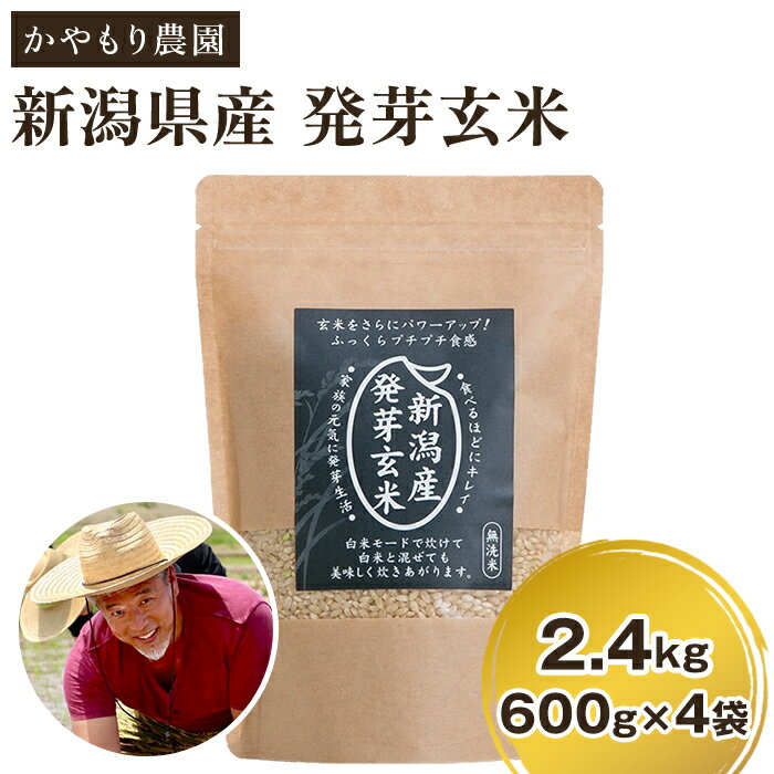 【ふるさと納税】令和6年産 [発芽玄米] 新潟産 発芽玄米2.4kg（600g×4個）新潟米 新潟県産 かやもり農園