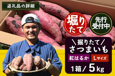 さつまいも 紅はるか 堀りたて 5kg ( 1箱 ) Lサイズ 新物 鹿児島県産 2025年9月下旬より順次出荷|【さつまいも 紅はるか 堀りたて 新物 鹿児島県産 5kg ( 1箱 ) Lサイズ 先