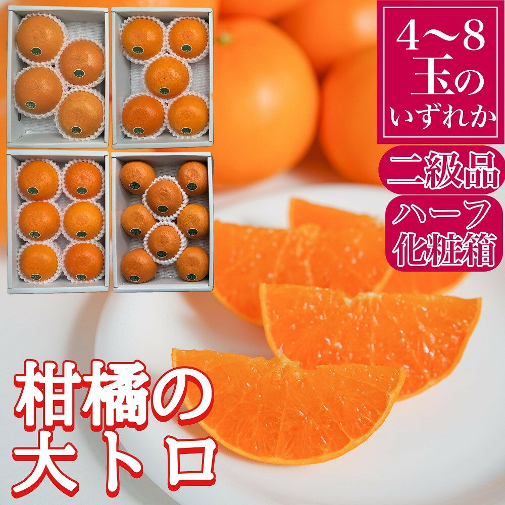 【ふるさと納税】ちょっと 傷あり ハーフ 化粧箱 柑橘の大トロ ハウス せとか 4 ～ 8玉入 南泰園