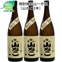 【ふるさと納税】焼酎尾鈴山 山ねこ 一升瓶3本 - 本格芋焼酎 いも焼酎 お酒 おしゃれ アルコール度数25度 甘藷(ジョイホワイト) 米麹(ヒノヒカリ) 甘藷由来の柑橘のような爽やかさ 芋の甘さ 麹の香ばしい香り すっきりとした口当たり 送料無料 【宮崎県木城町】