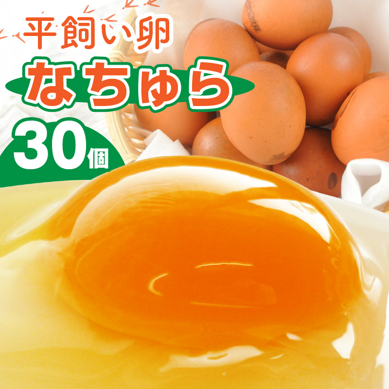 平飼い卵 なちゅら 30個 KJF0106