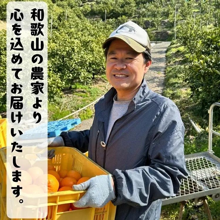 有田育ちの爽快セミノールオレンジ(ご家庭用)　約1kg+200g(補償分)【2027年4月上旬～5月下旬頃に順次発送予定】【ard210A】