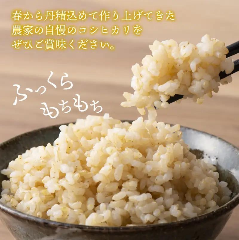 コシヒカリ 定期便 玄米 30kg コシヒカリ