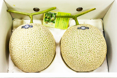 A-1154 青肉アールスメロン（2玉入）