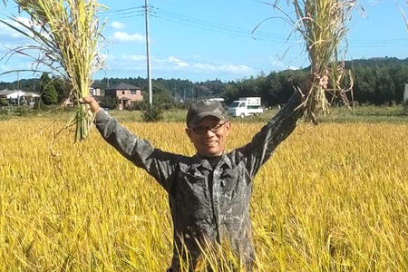 【令和7年産】獅子米 にじのきらめき 精米 5kg 岡田ファーム お米 白米 米 おこめ ブランド米 にじのひらめき 5キロ 30袋 限定 国産 単一原料米 コメ こめ ご飯 銘柄米 茨城県産 茨城 