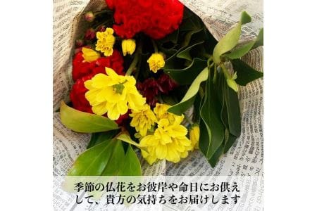 丹波篠山　ふるさとのお墓のお手入れ・お墓参り代行（年2回） BM02