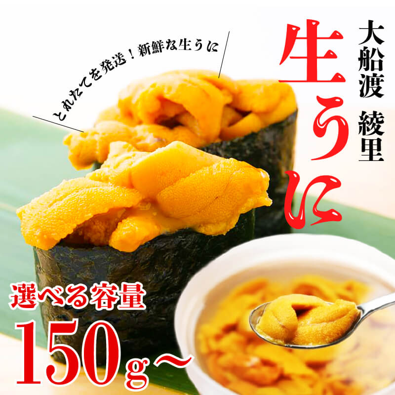 【ふるさと納税】 水揚げ日発送 綾里の生うに 150g ~ 450g 選べる 容量 数量限定 無添加 ミョウバン不使用 冷蔵 岩手県産 ムラサキウニ 季節限定 期間限定 生うに 生ウニ うに ウニ 生雲丹 天然 海鮮丼 寿司 ウニ丼 刺身