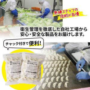 餃子 おトク餃子 大容量 100個セット