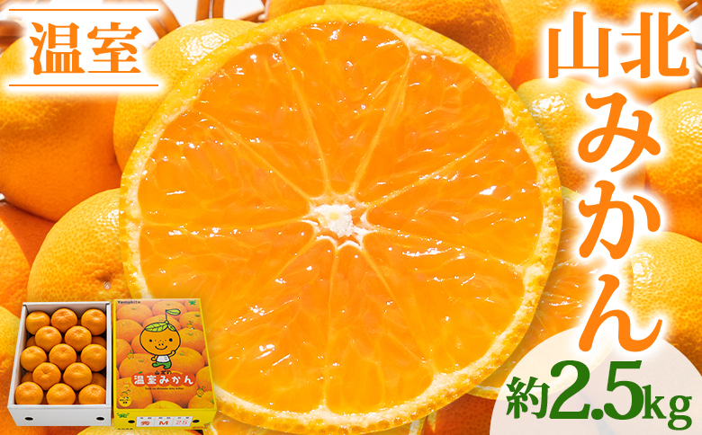 みかん 2.5ｋｇ 秀品 山北温室みかん2.5kg ハウスみかん 果物 柑橘類 蜜柑 糖度高め フルーツ ku-0030