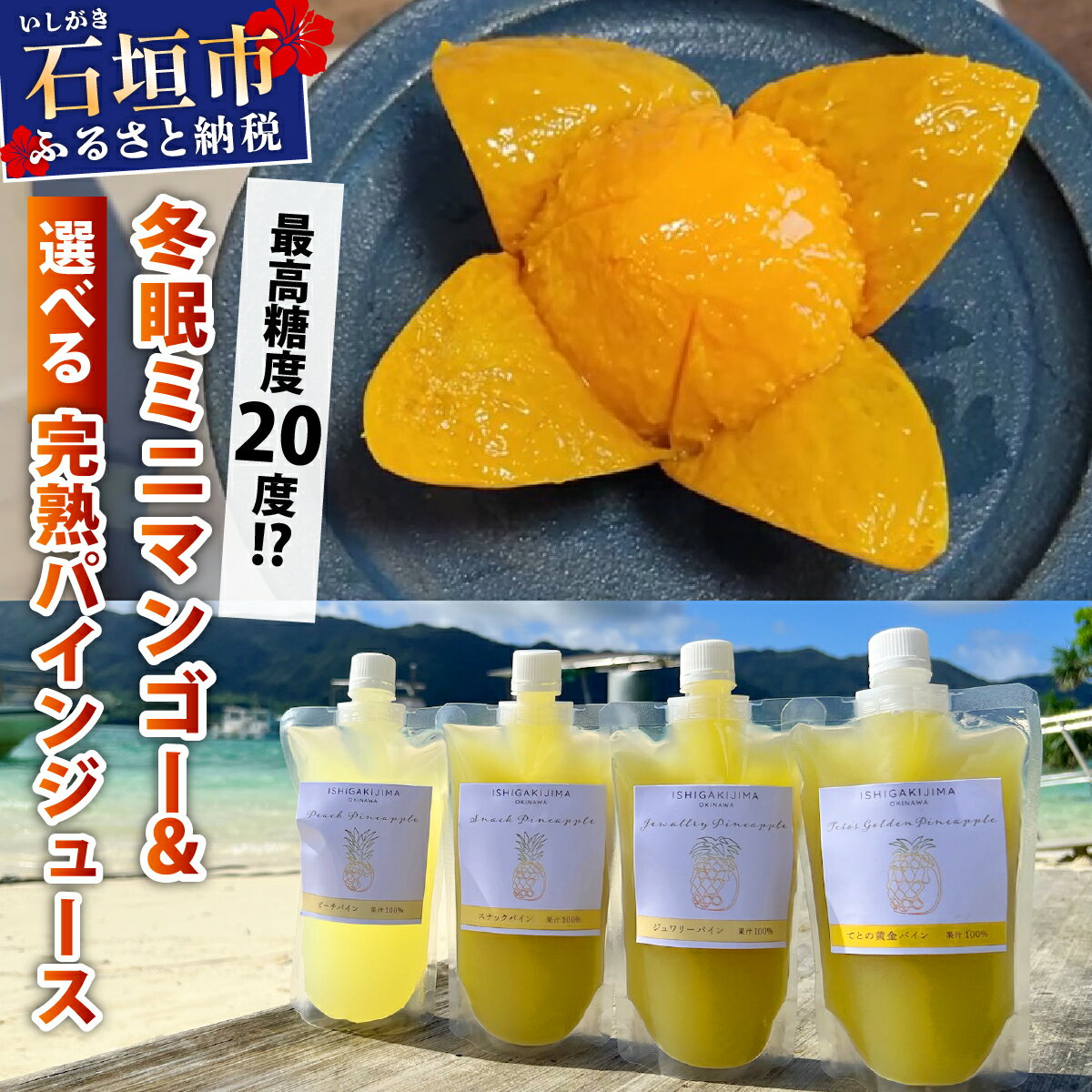 【ふるさと納税】《8月以降順次発送》最高糖度20度！？冬眠ミニマンゴーとパインジュース | マンゴー パイン パイナップル ジュース フルーツ トロピカル ふるさと納税 ふるさと 沖縄県 沖縄 石垣 石垣島 石垣市 人気