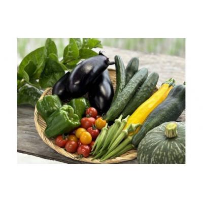ふるさと納税 善通寺市 【先行予約受付中】夏のお野菜セット ( 旬の夏野菜 5〜10種類前後 )
