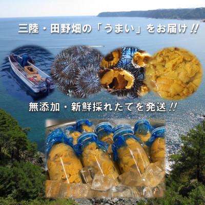ふるさと納税 田野畑村 【予約・7月中旬〜発送】三陸生うに　180g×2本　国立公園・田野畑村から(瓶入りミョウバン不使用) |  | 02