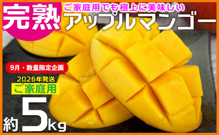 マンゴー【9月・数量限定企画】【2026年発送】ご家庭用完熟アップルマンゴー約5kg