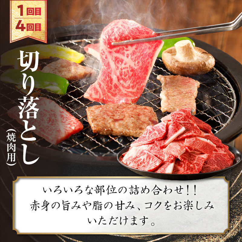 ≪6か月定期便≫夢の宮崎牛食べつくしセット(総重量6kg以上) 肉 牛 牛肉 おかず 国産_T030-068