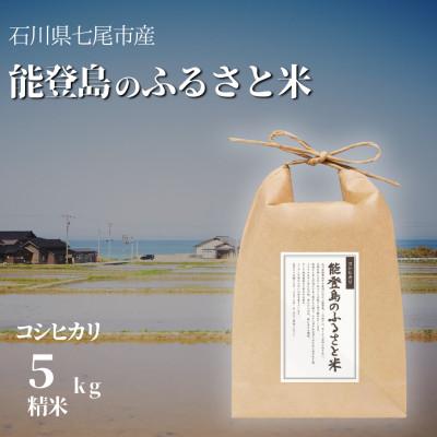 ふるさと納税 七尾市 【毎月定期便】能登島のふるさと米　コシヒカリ5kg　精米全12回