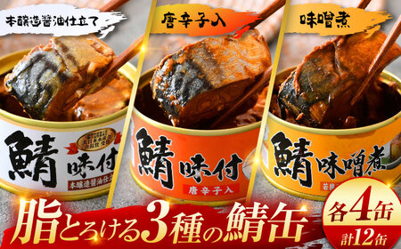 【年内配送】鯖缶詰12缶詰め合わせB / さば缶 缶詰 サバ 魚 小浜市 / 福井缶詰  [BFAB035]
