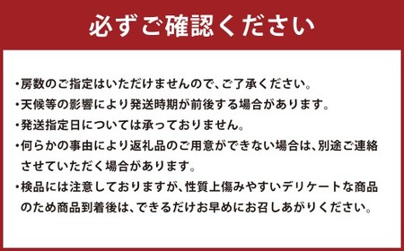 岡山県産ぶどう2種（シャインマスカット+瀬戸ジャイアンツ）家庭用 約2kg ぶどう ブドウ 葡萄 果物 フルーツ 岡山県 倉敷市【2025年9月上旬～9月下旬発送予定】