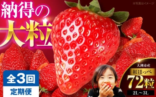 いちご【先行予約】【全3回定期便】いちご(紅ほっぺ)24粒×3箱 果物 くだもの フルーツ 野菜 やさい いちご イチゴ 苺 ストロベリー 大粒 大容量 甘い ジャム ケーキ タルト アレンジ こだわり 愛媛県産 大洲市産 産地直送 高級 ご褒美 贅沢 おすすめ 人気 お取り寄せ 送料無料 贈答 ギフト 愛媛県大洲市/有限会社西山青果 [AGAR019]