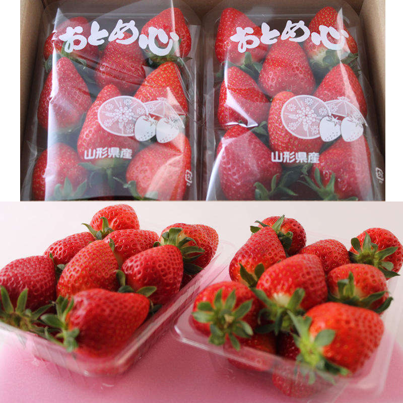 【定期便3回】☆フルーツ王国山形☆『シャインマスカット