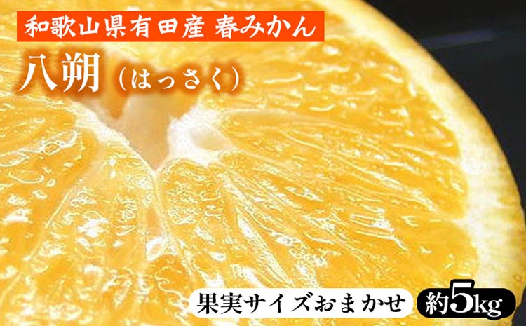
                  八朔（はっさく）［約5kg］和歌山県有田産 春みかん【果実サイズおまかせ】 ｜ 八朔有田産柑橘 八朔和歌山柑橘 八朔春みかん柑橘 はっさく有田産柑橘 はっさく和歌山柑橘 はっさく春みかん柑橘 有田産八朔 和歌山八朔 春みかん八朔 八朔 アリダ はっさく ハッサク みかん ミカン 蜜柑 柑橘 かんきつ 和歌山 有田 春みかん フルーツ 果物 旬 柑橘類 
                