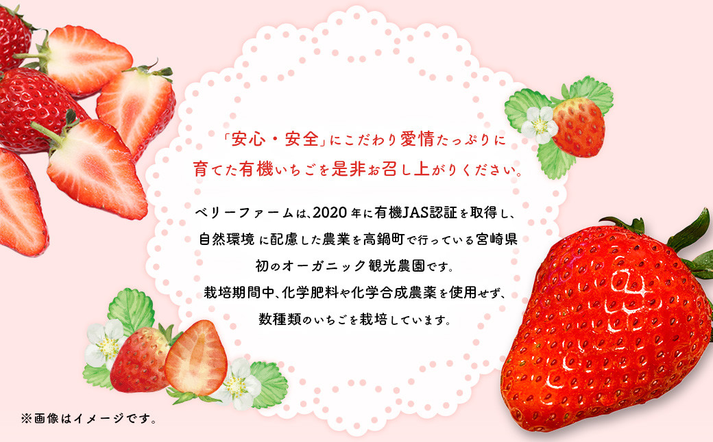 ＜宮崎県産 有機いちご食べ比べセット＞