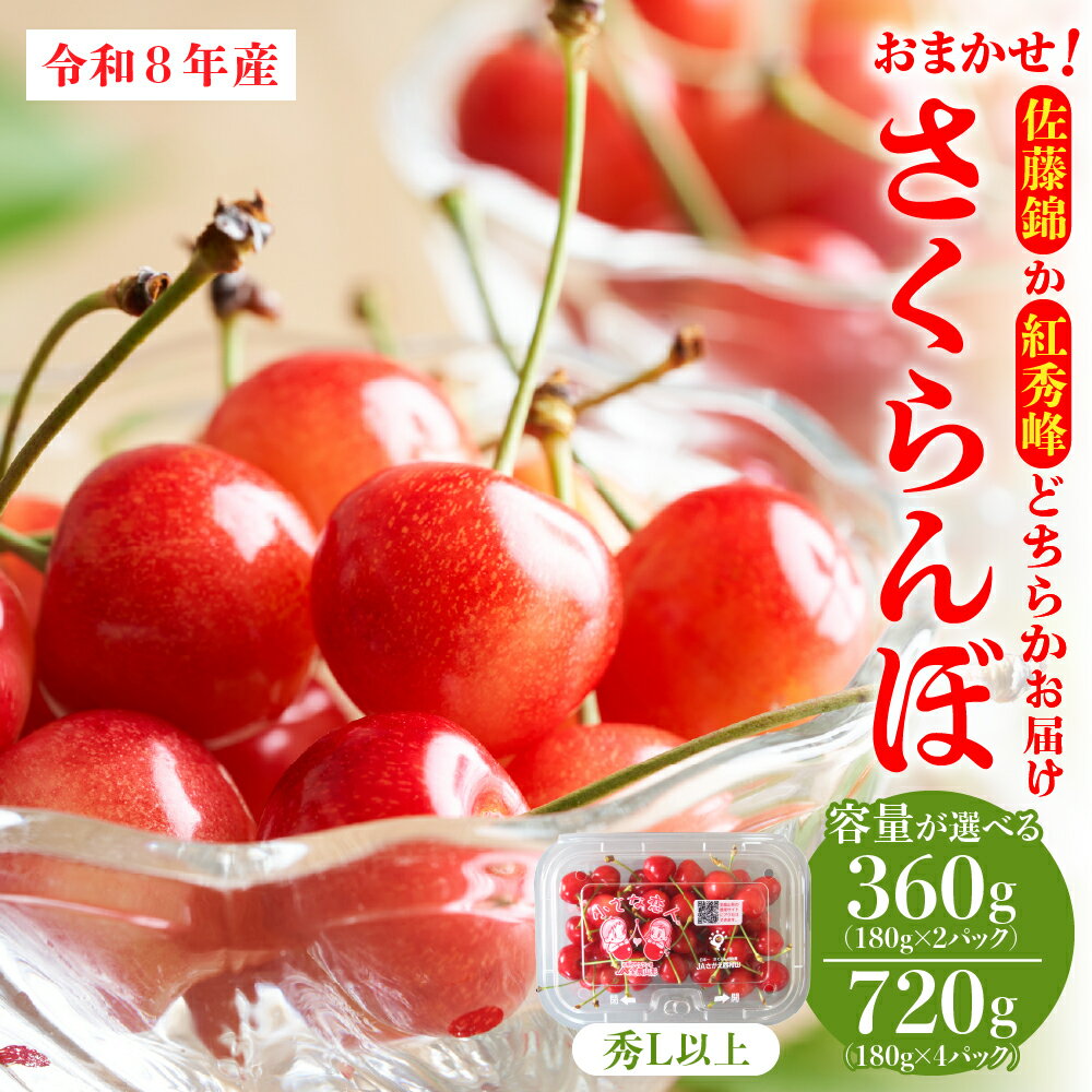 【ふるさと納税】【令和8年産】おまかせ さくらんぼ「 佐藤錦 or 紅秀峰 」(選べる: 360g / 720g ) 秀L以上 | サクランボ チェリー フルーツ 果物 2026年産 果肉 青果 贈答 プレゼント 贈り物 お取り寄せ 産地直送 冷蔵配送 送料無料 東北 山形県 河北町【JAさがえ西村山】