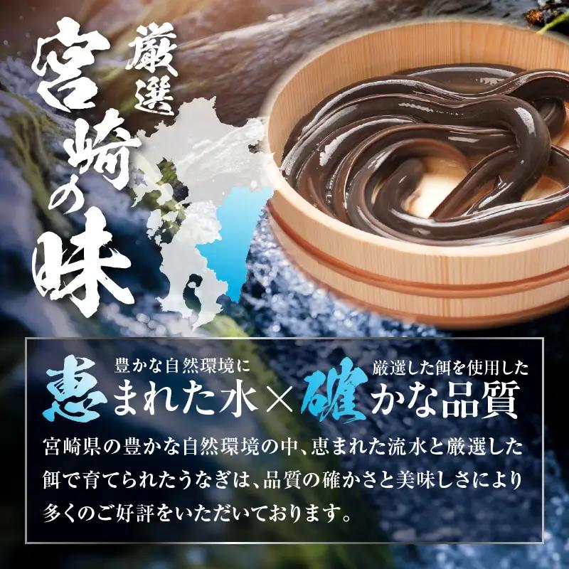 うなぎ うなぎ飯 うなぎ[国産 2個 セット 肝焼き]