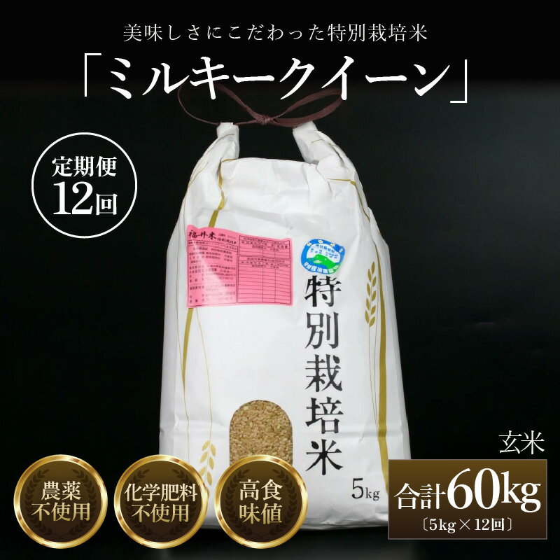 【ふるさと納税】【先行予約】【令和8年産 新米】定期便《12ヶ月連続お届け》 特別栽培米 ミルキークイーン 玄米 5kg （計60kg） 農薬不使用 化学肥料不使用 ／ 米 お米 高品質 鮮度抜群 福井県産 ブランド米 あわら産 ブランド米 ※2026年10月上旬以降順次発送