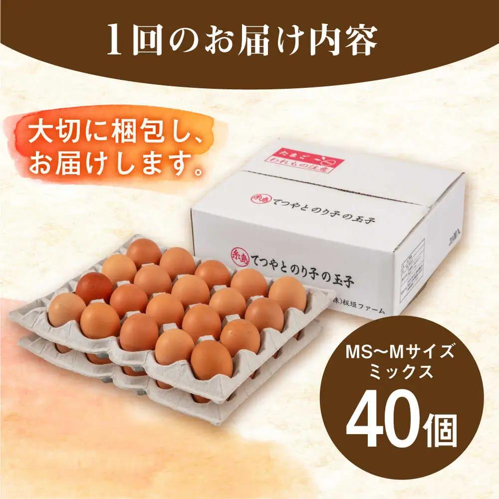 【全12回定期便】卵 40個 てつやとのりこの玉子 卵 たまご 定期便 [AWD022]