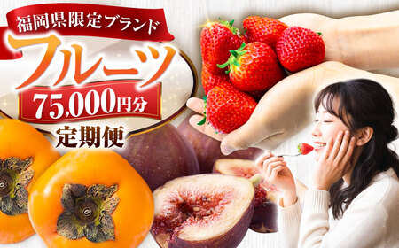 【全4回定期便】フルーツ定期便 7万5千円コース(あまおう2種＆いちじく＆柿) 《豊前市》【豊前市定期便】[VZZ020]