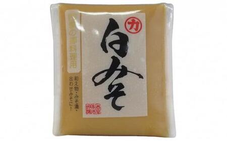 白みそ　10個（1個500g） [No.5220-0204]
