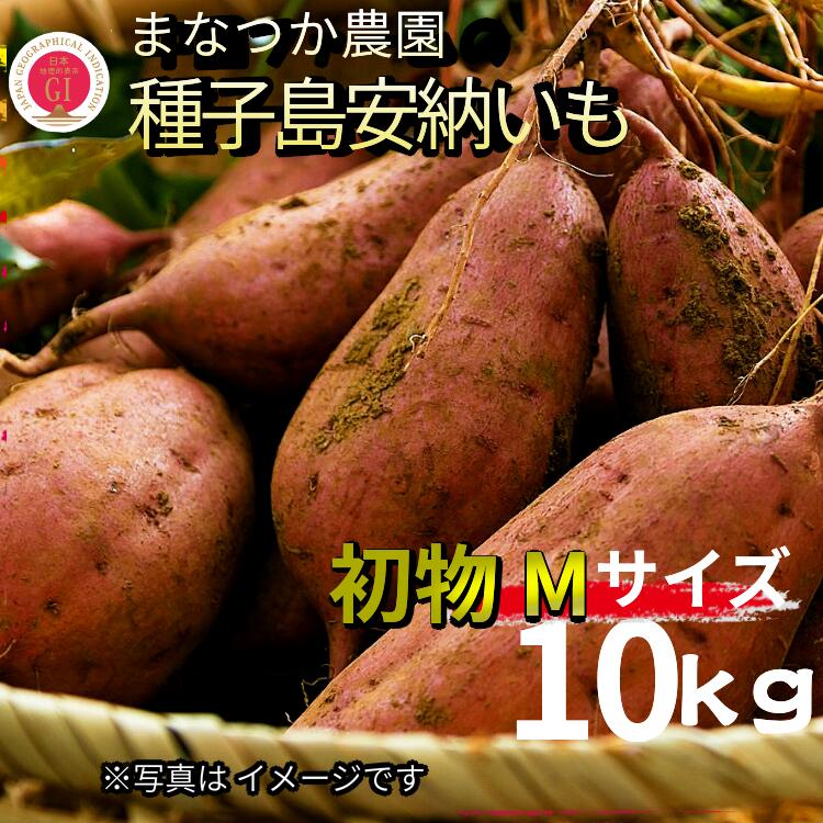 【ふるさと納税】＼ 新物・先行予約中 ／ 令和7年産 種子島 安納いも ＼ Mサイズ 生いも 10kg ／まなつか農園　在庫なくなり次第受付終了