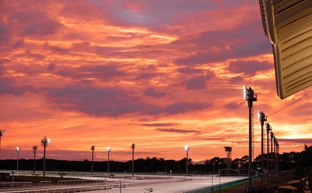門別競馬場来賓室観戦ツアー 9/25開催 9/25 坂下 秀樹