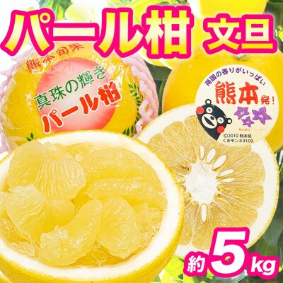 パール柑 文旦 秀品 6～18玉 約5kg(宇城市)【1713456】