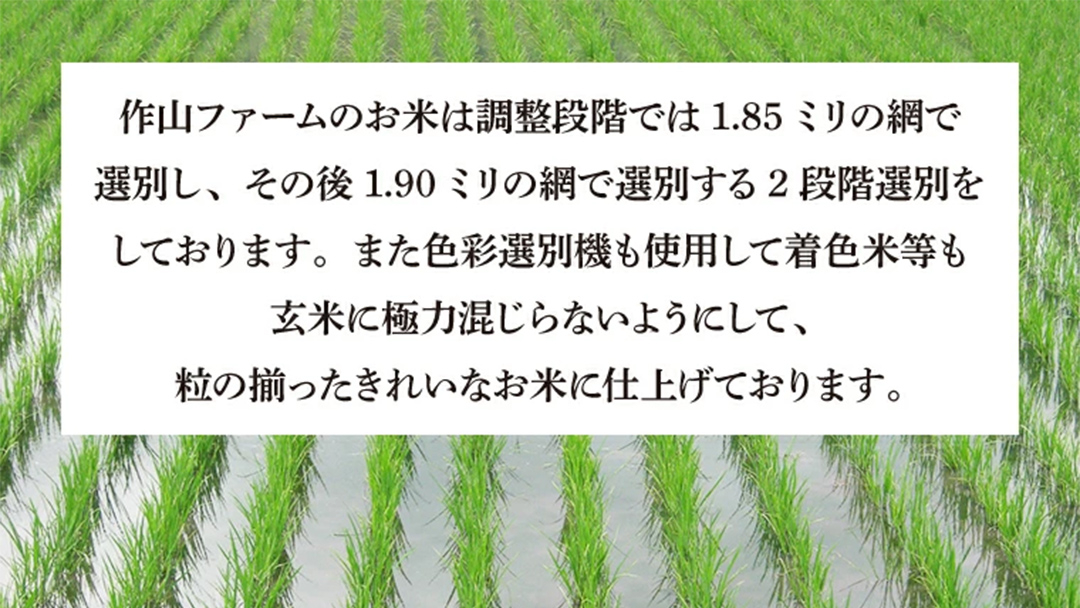【 新米 】 完熟あさ陽米 (玄米) 20kg (5kg×4) ひとめぼれ 特別栽培米 令和8年産 生産農家直送 米 産地直送 こめ 玄米 ご飯 あさ陽米 岩手県 特別栽培 農家直送 事業者応援 生産