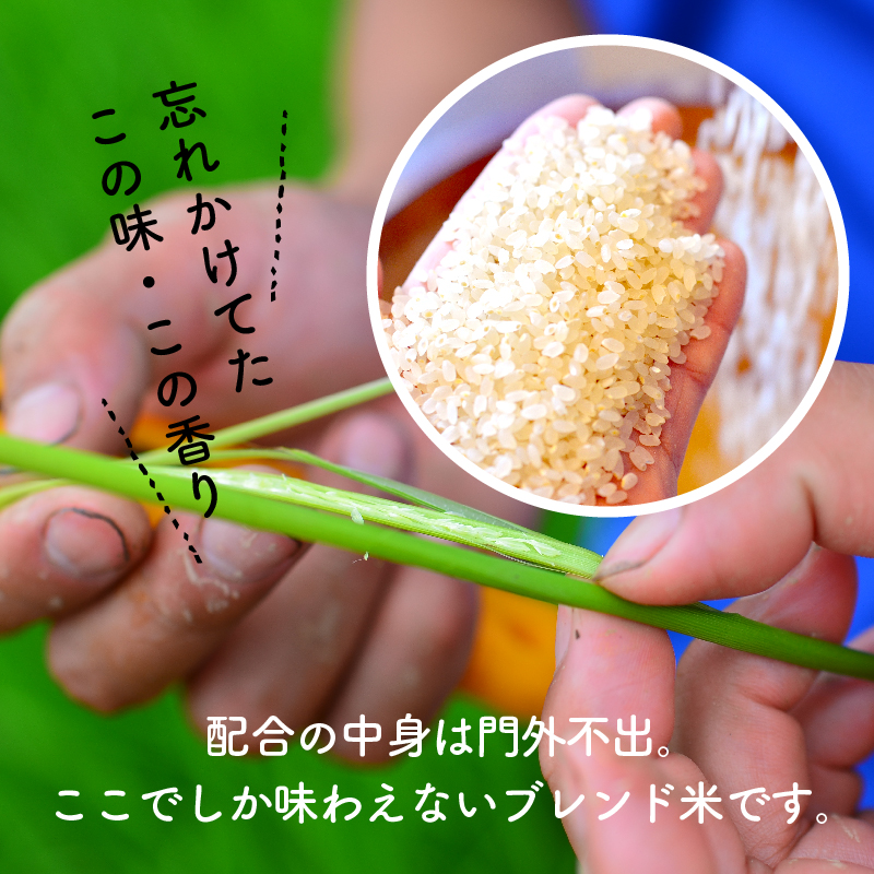 【お米マイスター】ほっ 懐かし米 定期便（5kg×12回） H056-135