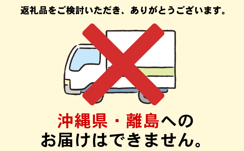 【予約受付】いちご 500g あまりん