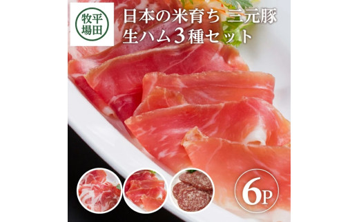 三元豚 生ハム 3種セット 6パック 計260g 豚肉 生ハムコッパ ジャーマンサラミ ブランド豚 銘柄豚 ハム サラミ 豚 肉 おつまみ ワイン モモ肉 肩ロース 小分け 冷蔵 おすすめ ギフト 贈