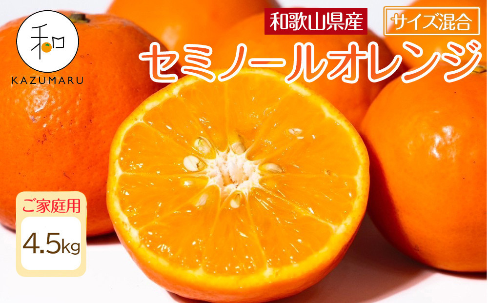 家庭用 森本農園の手選別 セミノールオレンジ 4.5kg 和歌山県産 サイズ混合 ［北海道・沖縄・離島配送不可］［RN27］［2026年4月中旬から順次発送］ 303446_DJ90027