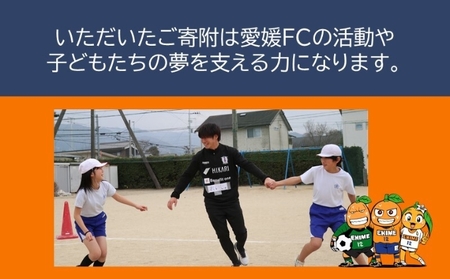 愛媛FCへの支援に活用させていただきます！【返礼品なし】愛媛FCへのご寄付 10,000円