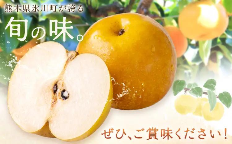 数量限定 先行予約 豊水梨 約2kg 熊本県産 梨