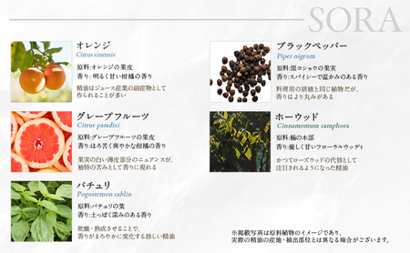木々之重 アロマスプレー SORA 50ml アロマ アロマグッズ 香り 精油 オレンジ グレープフルーツ ホーウッド パチュリ ブラックペッパー スパイス 気分転換 スッキリ すっきり 癒し 贈答 