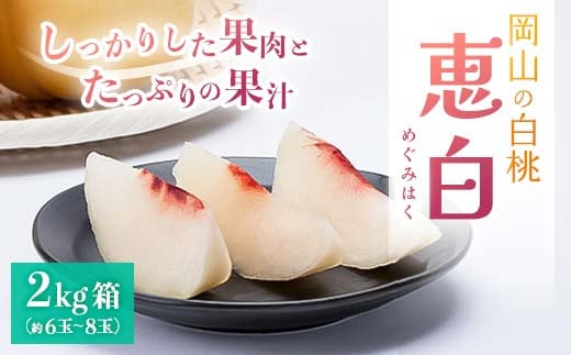 
            先行受付【2025年9月上旬より発送予定】しっかりした果肉と果汁たっぷりの岡山の白桃・恵白(2kg箱) TY0-0328
          