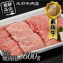 【ふるさと納税】A5 飛騨牛もも 焼肉用 600g 肉 FG005