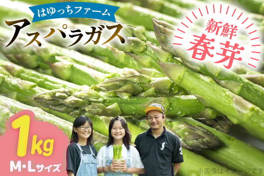 
            アスパラ アスパラガス 春芽アスパラガス 1kg M L サイズ混合 [はゆっちFARM 長崎県 東彼杵町 hs42bag360012] アスパラ あすぱら 新鮮 春
          