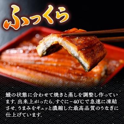 ふるさと納税 肝付町 <定期便・計3回(連続)>うなぎ蒲焼・大(有頭)(2尾計330g以上3回タレ山椒付)　E57003 |  | 01