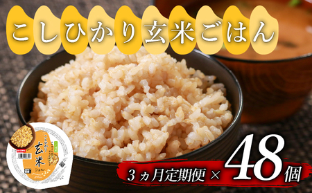 【定期便3回】 玄米ごはんパック 160g 48個 こしひかり 玄米