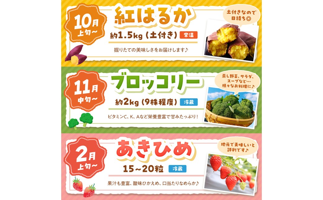 まつみやファーム獲れたて野菜・フルーツ5種定期便 ふるさと納税 果物 くだもの フルーツ ふるーつ 野菜 やさい 芋 穀物 紅はるか さつまいも いちご イチゴ 苺 ホワイトコーン 農家応援 生産者応
