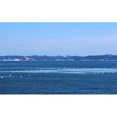 ふるさと納税 山陽小野田市 【毎月定期便】有明海産 焼きのり 60枚(3パック) 3切サイズ 食品全3回 |  | 02